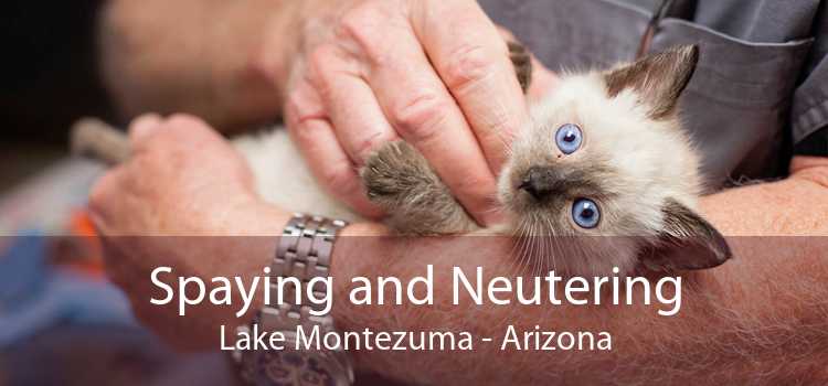 Spaying and Neutering Lake Montezuma - Arizona