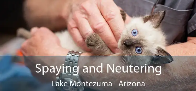 Spaying and Neutering Lake Montezuma - Arizona