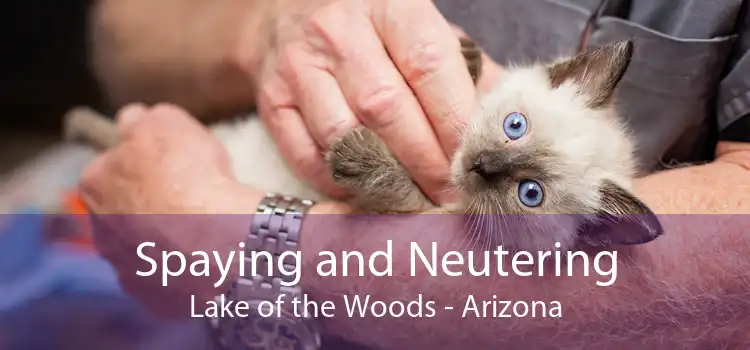 Spaying and Neutering Lake of the Woods - Arizona