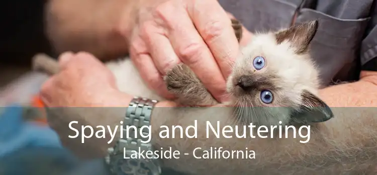 Spaying and Neutering Lakeside - California