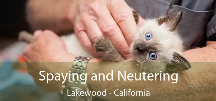 Spaying and Neutering Lakewood - California