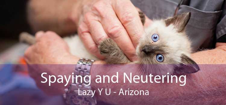 Spaying and Neutering Lazy Y U - Arizona