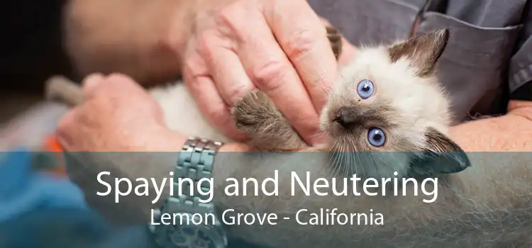 Spaying and Neutering Lemon Grove - California