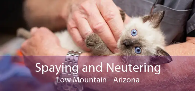 Spaying and Neutering Low Mountain - Arizona
