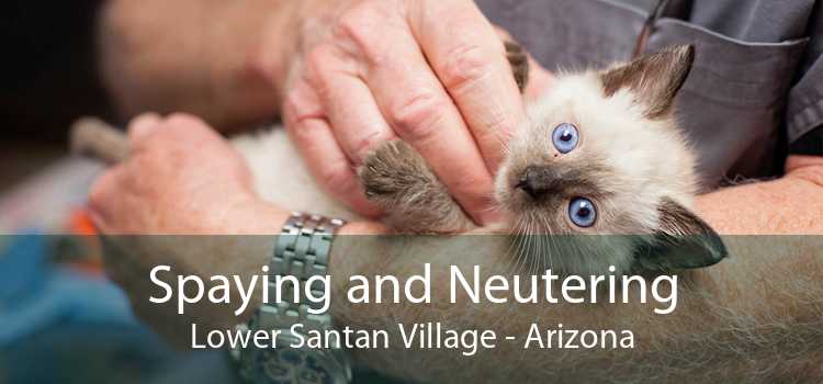 Spaying and Neutering Lower Santan Village - Arizona