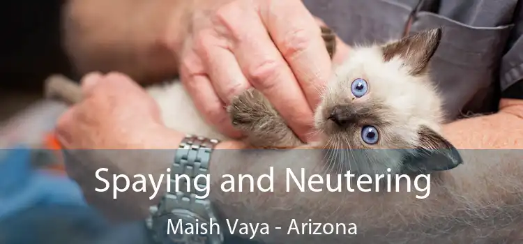 Spaying and Neutering Maish Vaya - Arizona