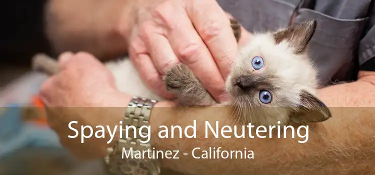 Spaying and Neutering Martinez - California