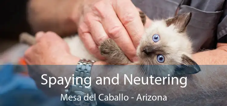 Spaying and Neutering Mesa del Caballo - Arizona