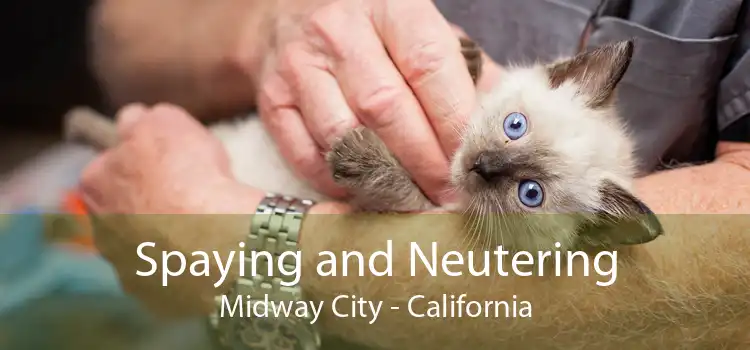 Spaying and Neutering Midway City - California