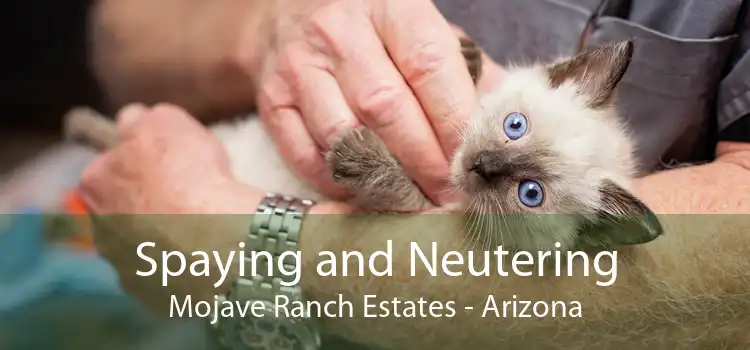 Spaying and Neutering Mojave Ranch Estates - Arizona