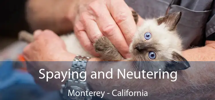 Spaying and Neutering Monterey - California