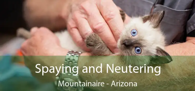 Spaying and Neutering Mountainaire - Arizona