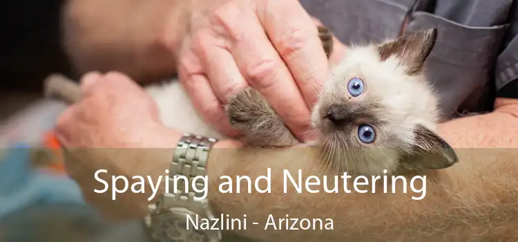 Spaying and Neutering Nazlini - Arizona
