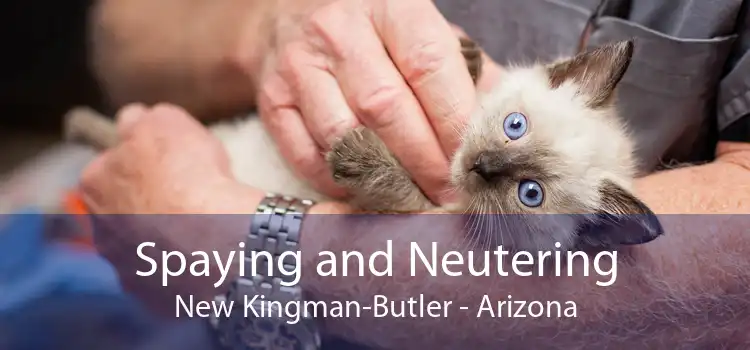 Spaying and Neutering New Kingman-Butler - Arizona