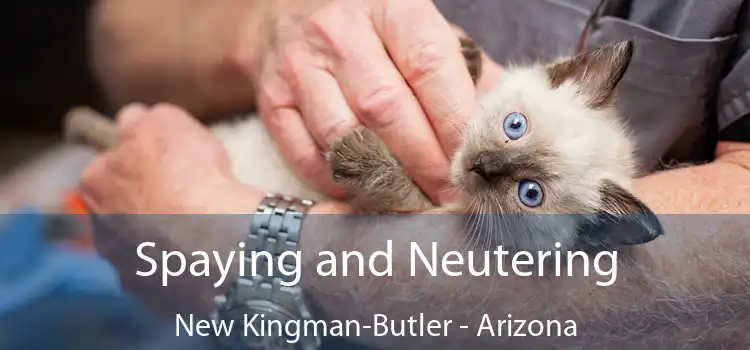 Spaying and Neutering New Kingman-Butler - Arizona