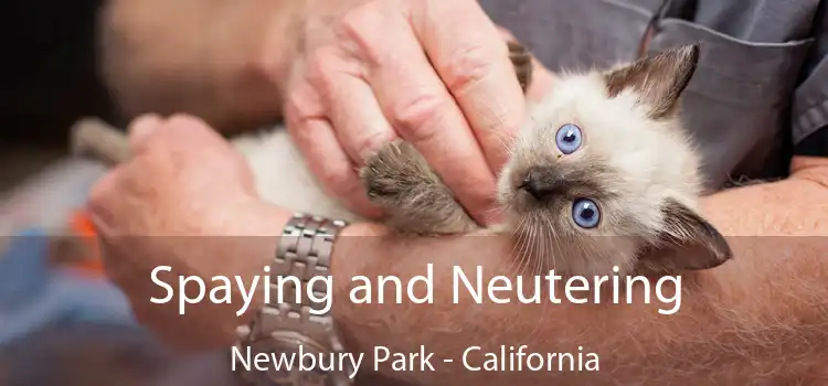 Spaying and Neutering Newbury Park - California
