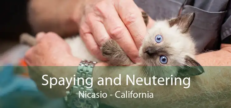 Spaying and Neutering Nicasio - California