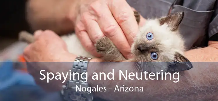 Spaying and Neutering Nogales - Arizona