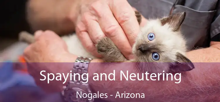 Spaying and Neutering Nogales - Arizona