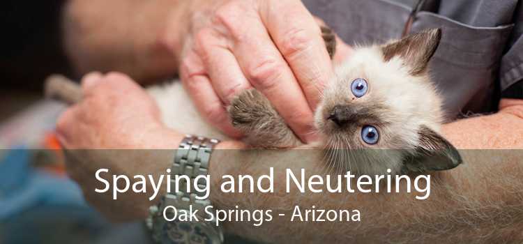 Spaying and Neutering Oak Springs - Arizona