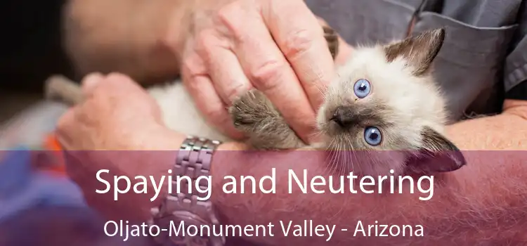 Spaying and Neutering Oljato-Monument Valley - Arizona