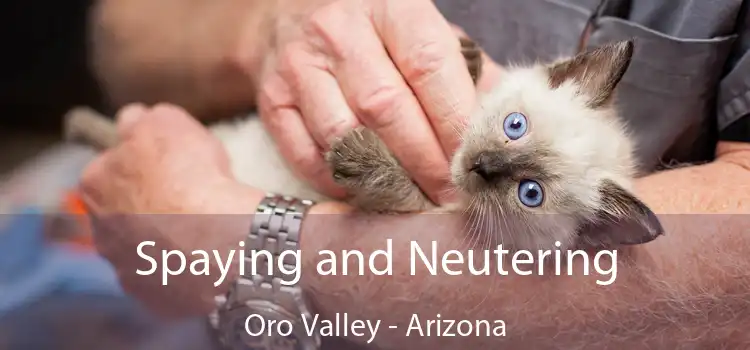 Spaying and Neutering Oro Valley - Arizona