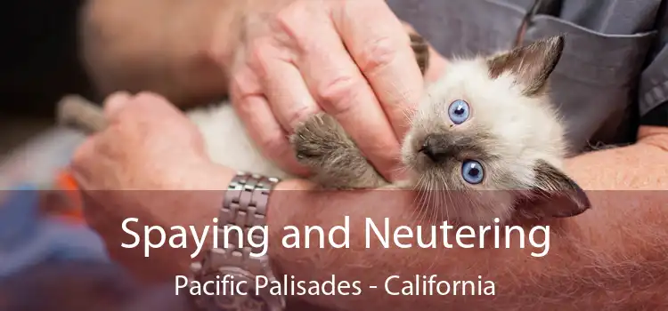 Spaying and Neutering Pacific Palisades - California