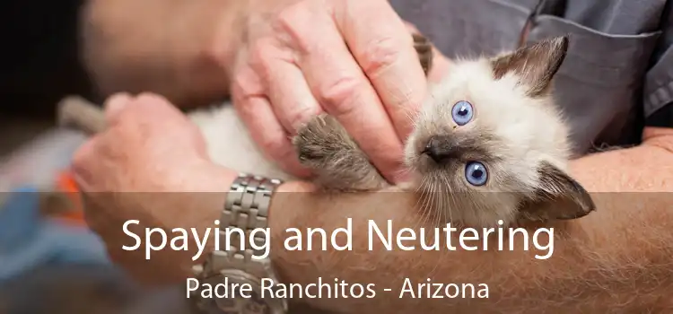 Spaying and Neutering Padre Ranchitos - Arizona