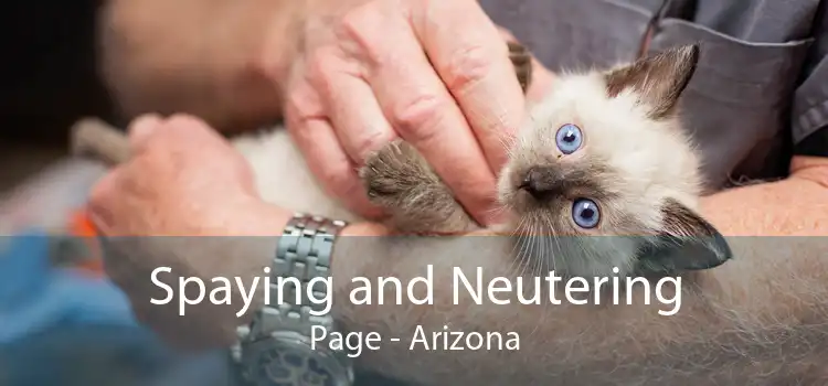 Spaying and Neutering Page - Arizona