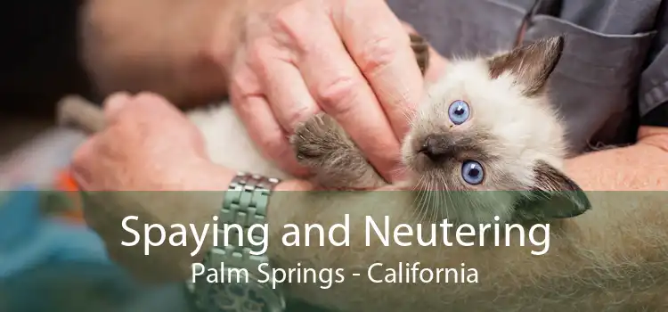 Spaying and Neutering Palm Springs - California