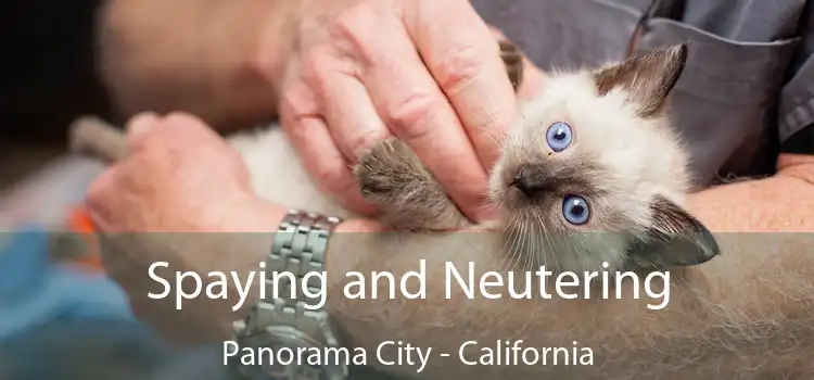 Spaying and Neutering Panorama City - California