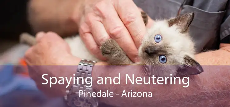 Spaying and Neutering Pinedale - Arizona