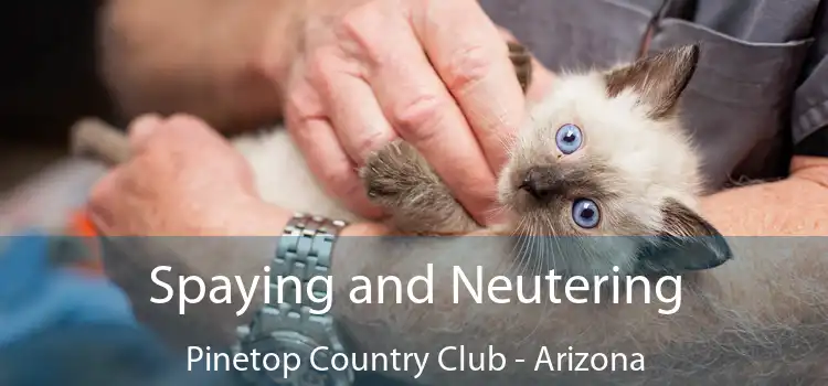 Spaying and Neutering Pinetop Country Club - Arizona