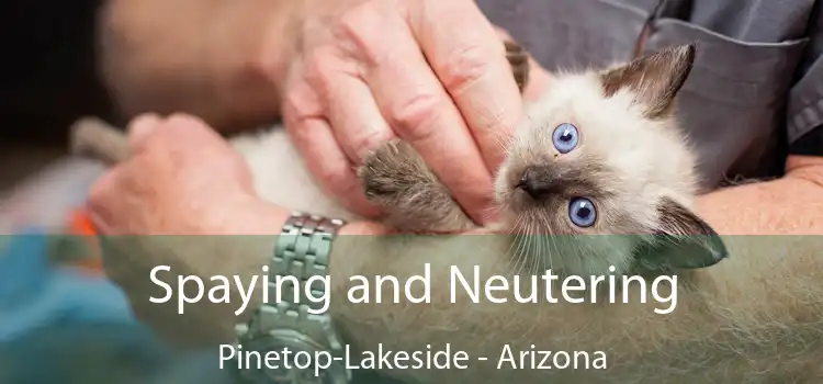 Spaying and Neutering Pinetop-Lakeside - Arizona