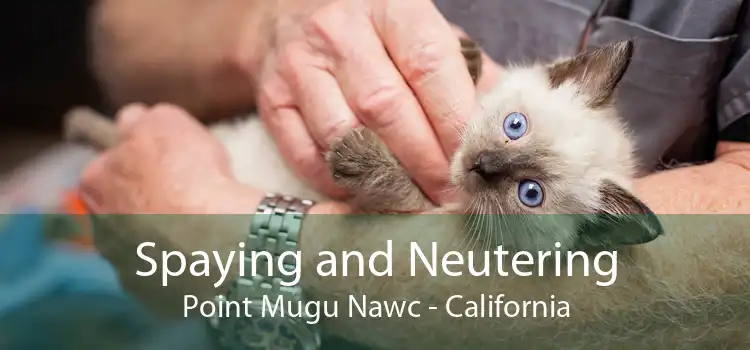 Spaying and Neutering Point Mugu Nawc - California