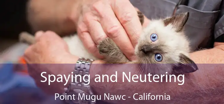 Spaying and Neutering Point Mugu Nawc - California