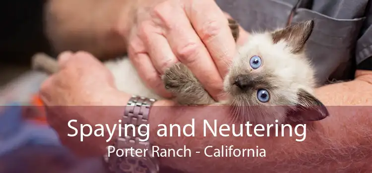 Spaying and Neutering Porter Ranch - California