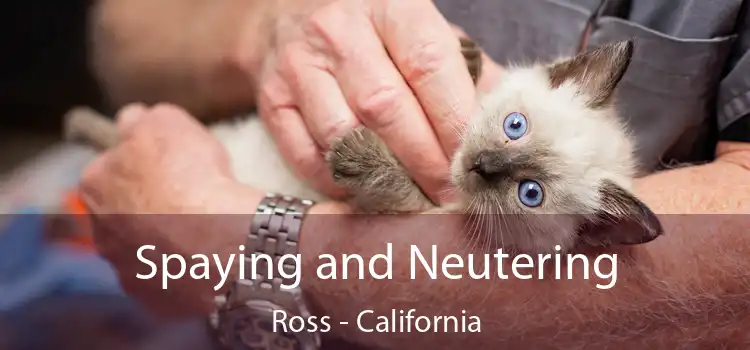 Spaying and Neutering Ross - California