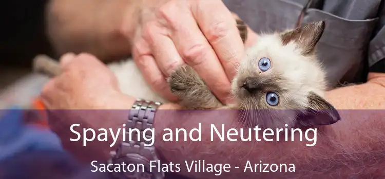 Spaying and Neutering Sacaton Flats Village - Arizona