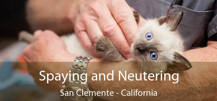 Spaying and Neutering San Clemente - California