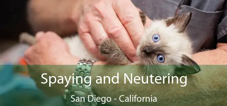 Spaying and Neutering San Diego - California