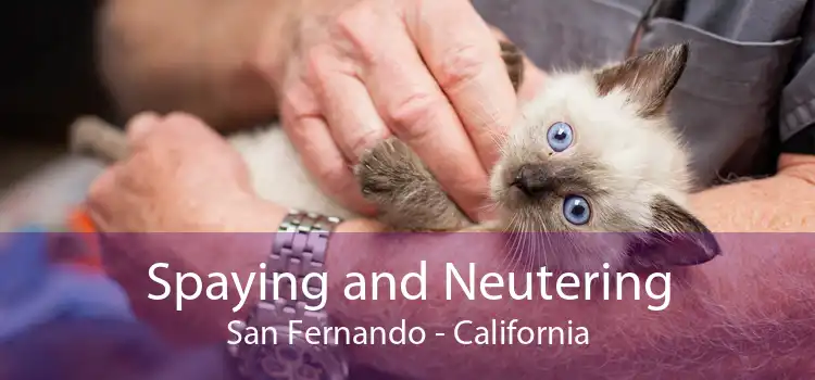 Spaying and Neutering San Fernando - California