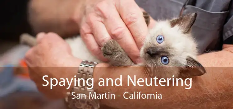 Spaying and Neutering San Martin - California
