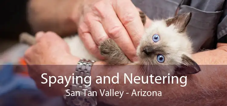 Spaying and Neutering San Tan Valley - Arizona