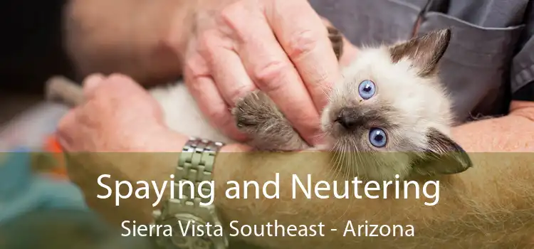 Spaying and Neutering Sierra Vista Southeast - Arizona