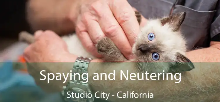 Spaying and Neutering Studio City - California