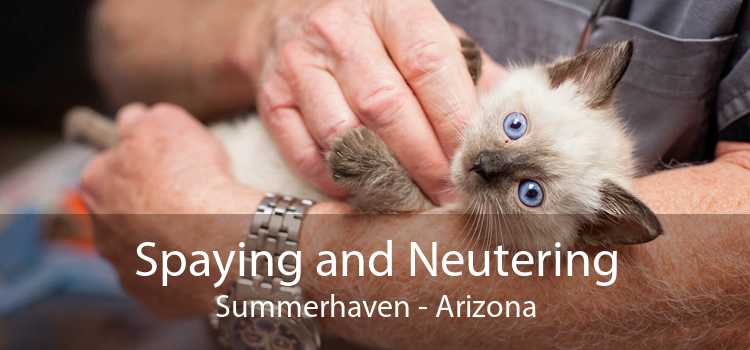 Spaying and Neutering Summerhaven - Arizona