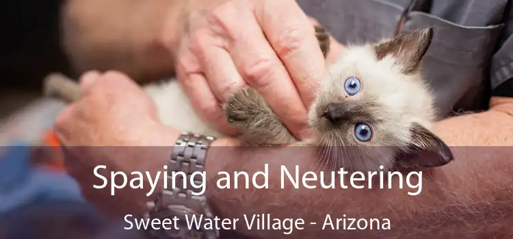 Spaying and Neutering Sweet Water Village - Arizona