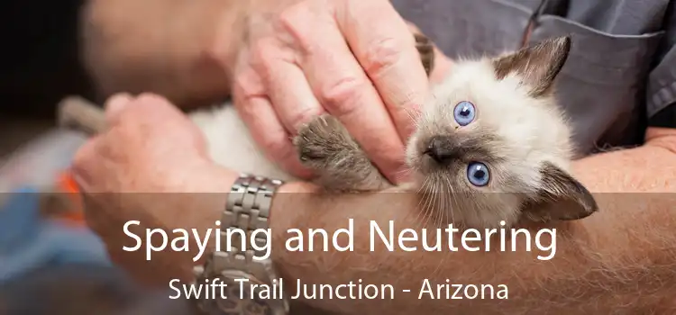 Spaying and Neutering Swift Trail Junction - Arizona