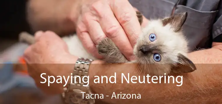 Spaying and Neutering Tacna - Arizona